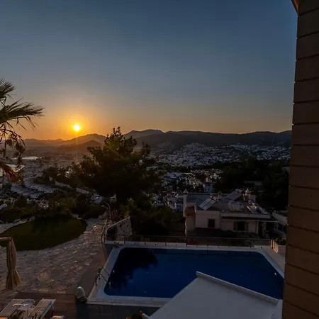 Villa Panorama Mansion *