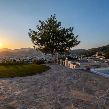 Villa Panorama Mansion