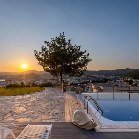 Panorama Mansion Villa *