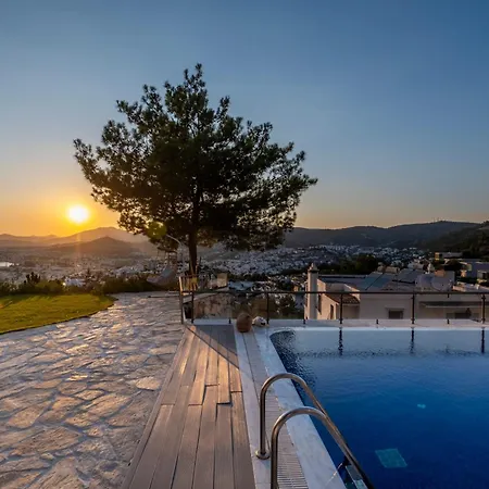 Panorama Mansion Villa *