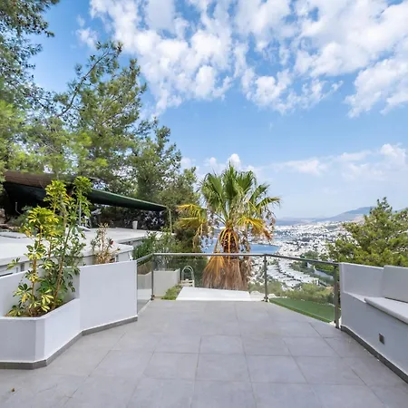 Villa Panorama Mansion