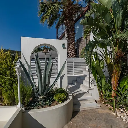 Βίλα Panorama Mansion