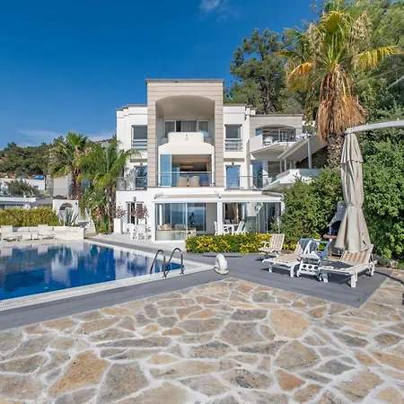 Panorama Mansion Βίλα *