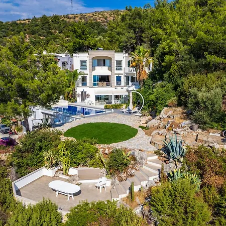 Panorama Mansion Βίλα