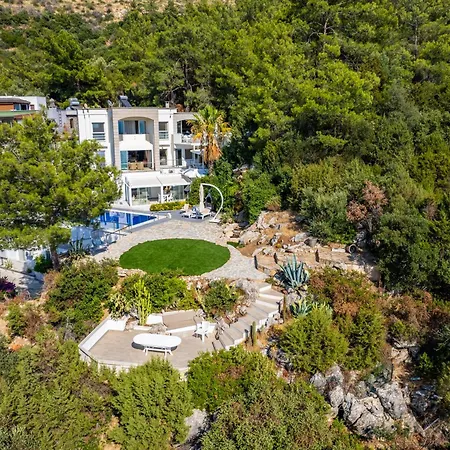 Panorama Mansion Αλικαρνασσός